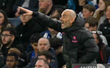 Maresca minta penggemar Chelsea percaya dengan metode kepelatihannya