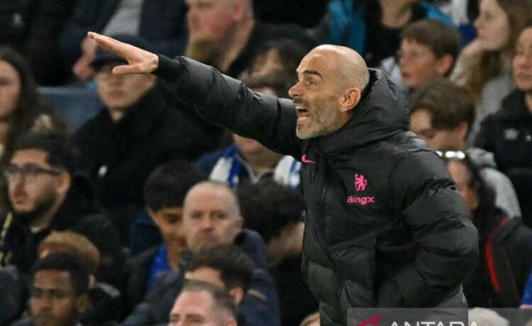 Maresca minta penggemar Chelsea percaya dengan metode kepelatihannya
